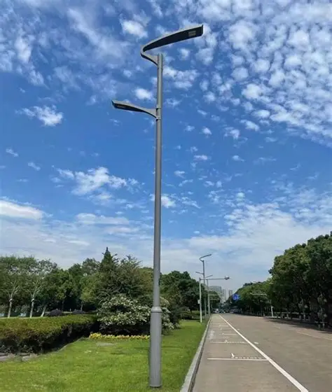 Kui palju teate Urban Road Lighting Designist?