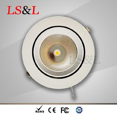 25W LED Spot Light